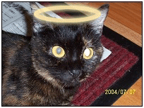 �p�Ѩ� - ���N�A�ʺ١G���